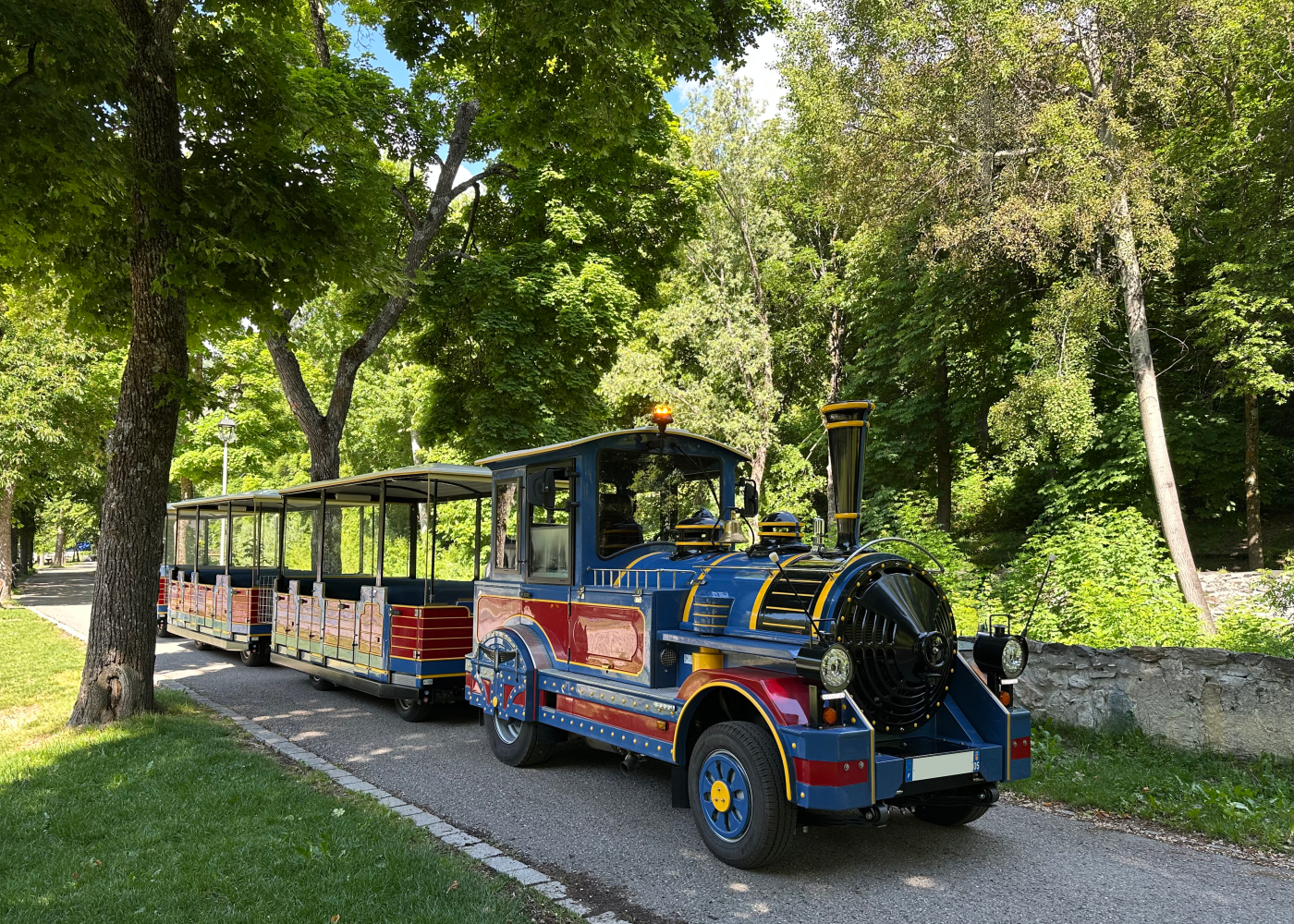 Petit Train au Parc de la Schappe