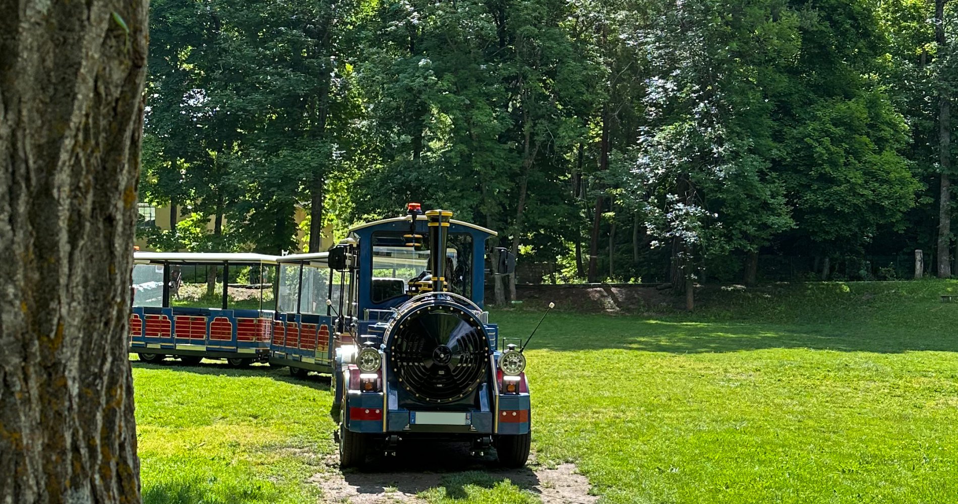 Petit Train au parc de la Schappe
